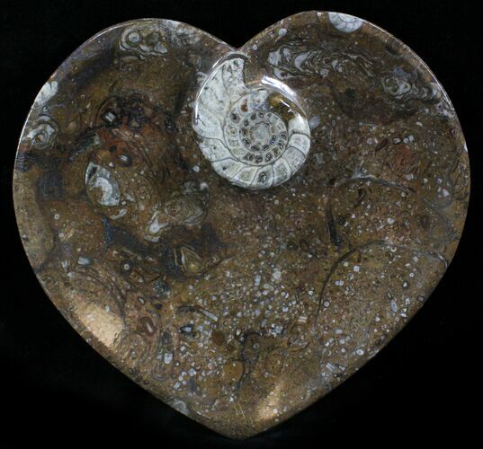 Heart Shaped Fossil Goniatite Dish #26195